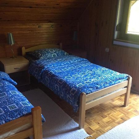 Vila Borovic Zlatibor Bagian luar foto