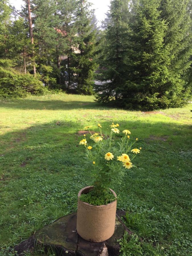 Vila Borovic Zlatibor Bagian luar foto