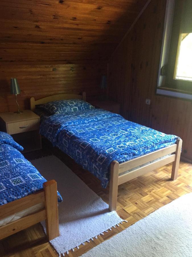 Vila Borovic Zlatibor Bagian luar foto
