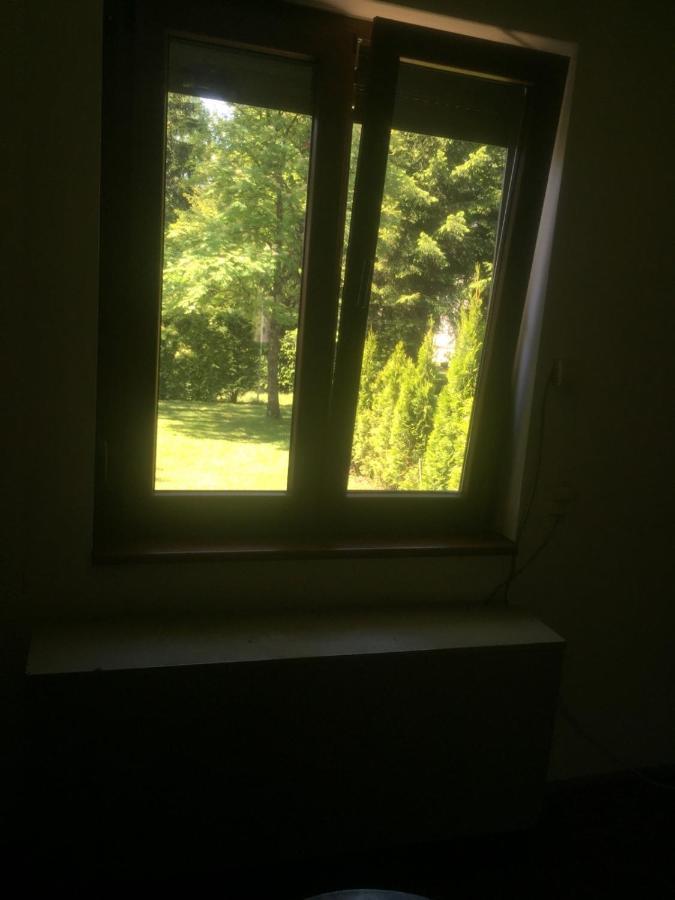 Vila Borovic Zlatibor Bagian luar foto