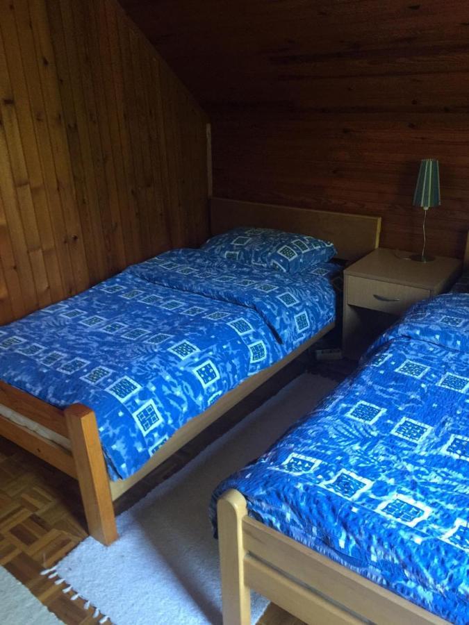Vila Borovic Zlatibor Bagian luar foto