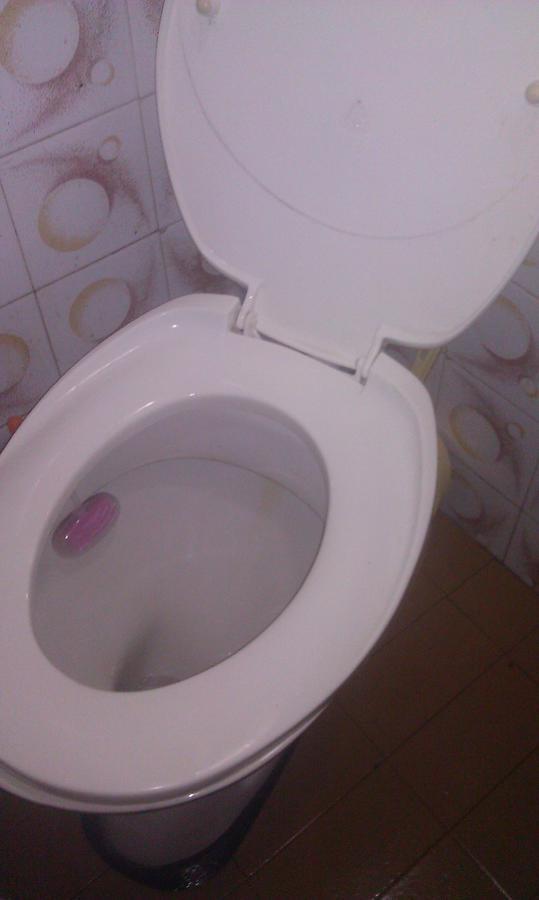 Vila Borovic Zlatibor Bagian luar foto