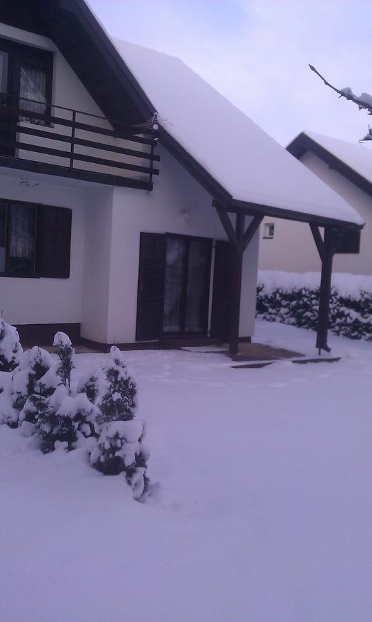 Vila Borovic Zlatibor Bagian luar foto