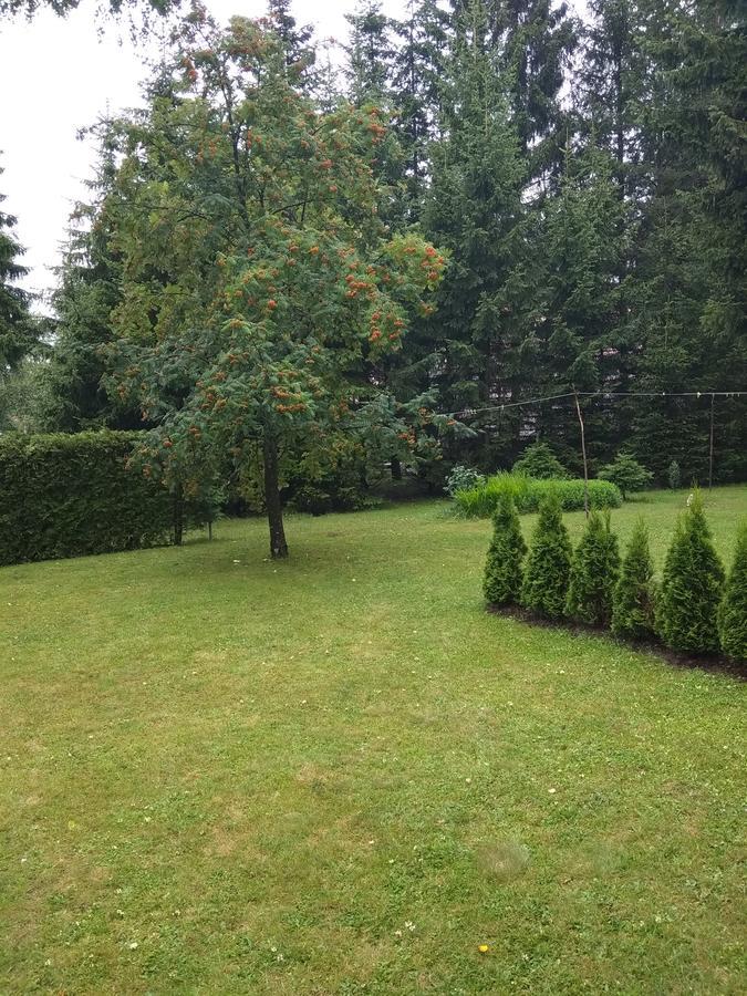 Vila Borovic Zlatibor Bagian luar foto